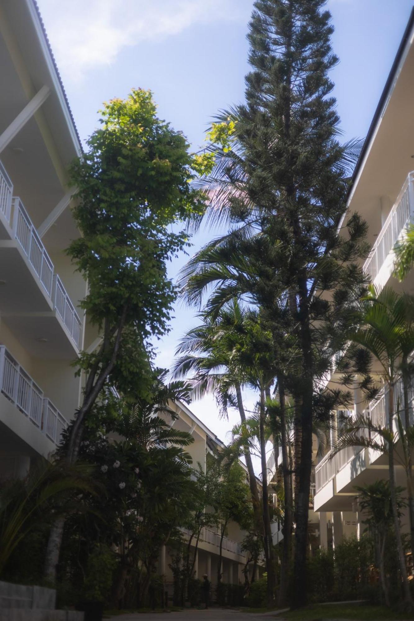 Arkbar Beach Club Bãi biển Chaweng Ngoại thất bức ảnh